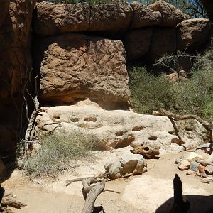 5/8/2022 - Bobcat Exhibit