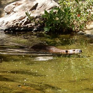 5/8/2022 - So Refreshing!