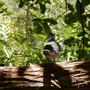 5/8/2022 - Turning Back on Me