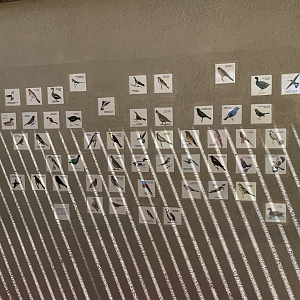 5/8/2022 - Bird Tiles