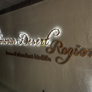 5/8/2022 - Lighted Aviary Sign