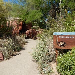 5/8/2022 - Heading Towards Life Underground