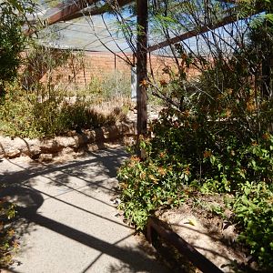 5/8/2022 - Hummingbird Aviary - General View