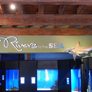 5/8/2022 - Warden Aquarium Entry