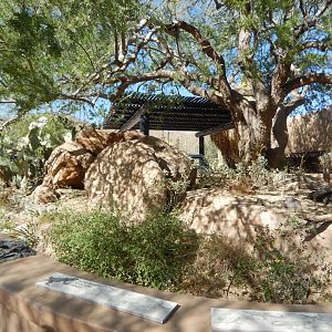 5/8/2022 - Reptile Entrance Habitat