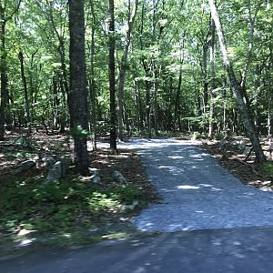 Beginning to Clear Land at Future Asia Exhibit