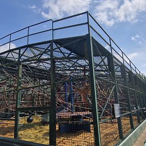 New Gorilla facility