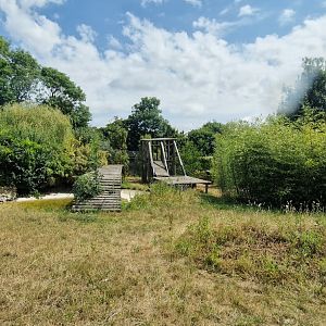 Sumatran Tiger exhibit
