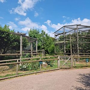 Pallas cat/Clouded Leopard exhibits
