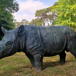 Torgamba, 24 years too late