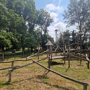 Javan Lutung exhibit