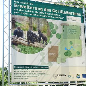 Plans for gorilla habitat expansion (07/22)