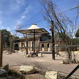 Additions to giraffe exhibit
