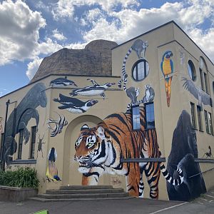 Completed art on former aquarium