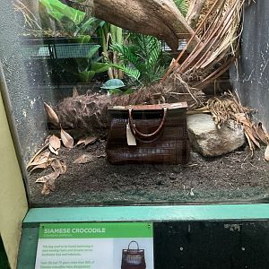 New terrarium in reptile house