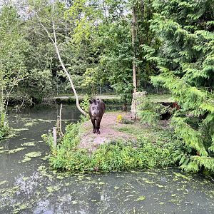 Looking pretty by his pond