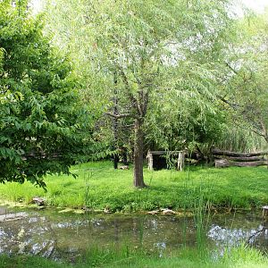 Lesser Adjutant Stork & Western Tufted Deer Aviary