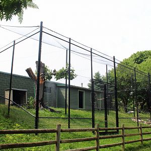 Bald Eagle Aviary (New in 2022)