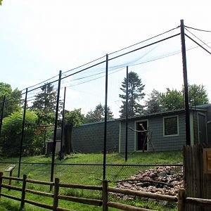 Bald Eagle Aviary (New in 2022)