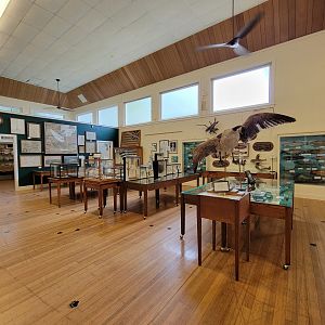 Libby Museum, NH