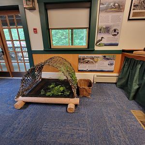 Loon Center, NH - Artificial nests made to help loons
