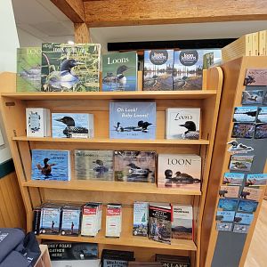 Loon Center, NH - So many loon books!