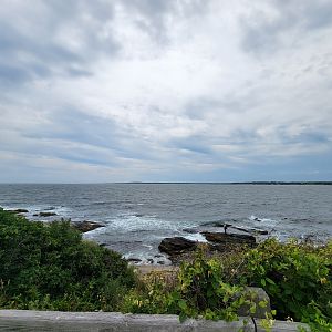 Beavertail Aquarium - view