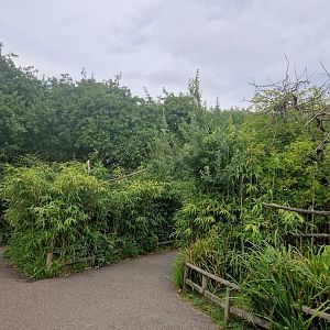 Lemur Walktrough exhibit