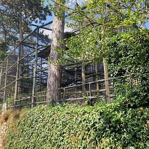 Moloch Gibbon exhibit