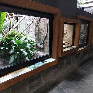 Reptile house general view