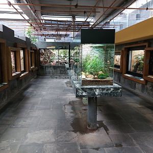 Reptile house general view