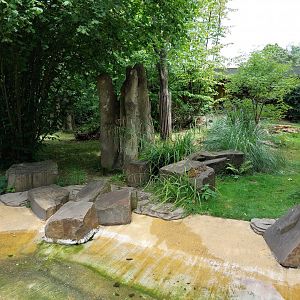 Giant anteater enclosure