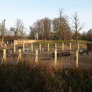 Asian elephant paddocks seen from the second viewing lodge, 2021-12-07