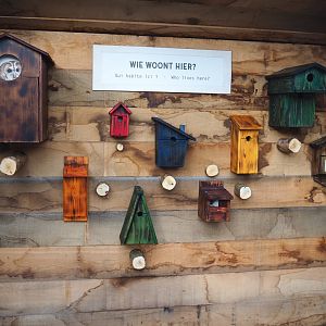 Nesting boxes display near the wildlife feeding area, 2021-12-07