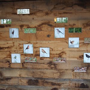 Part of wildlife viewing wall with viewing slots for wildlife feeding area and native bird signage, 2021-12-07