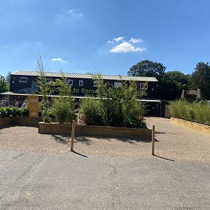 Entrance area 100722