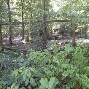 Eurasian wolf enclosure 100722