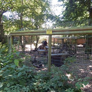 European red fox enclosure 100722