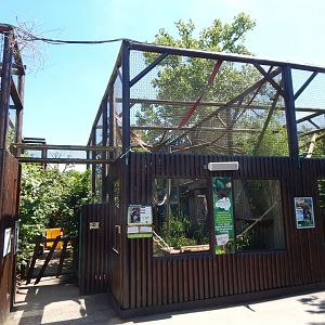 Red ruffed lemur enclosure 100722