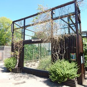 Ring-tailed lemur enclosure 100722