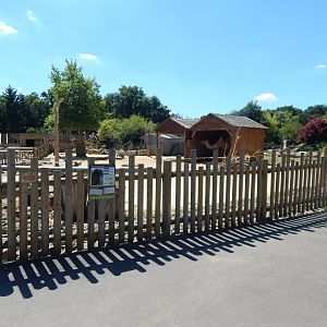 Bactrian camel enclosure 100722