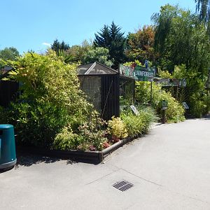 Entrance to Rainforest 100722