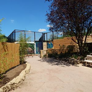 Future development for Jaguars 100722