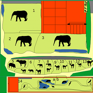 Zoo of Sardinia - Congolese Adventure