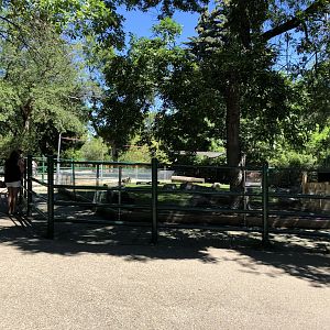 Juliana Pig Enclosure at Edmonton Valley Zoo (July 2022)