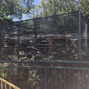 Canada Lynx Enclosure at Edmoton Valley Zoo (July 2022)