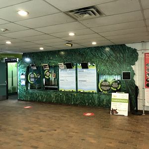 Inside the Sato Centre at Edmonton Valley Zoo (July 2022)