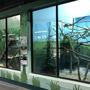 Golden Lion Tamarin and Goeldi's Monkey Enclosures at Edmonton Valley Zoo (July 2022)