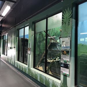 General View of Small Mammal Enclosures at Edmonton Valley Zoo (July 2022)