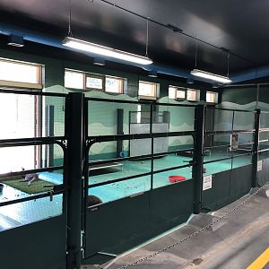 Indoor Wallaby Enclosure at Edmonton Valley Zoo (July 2022)